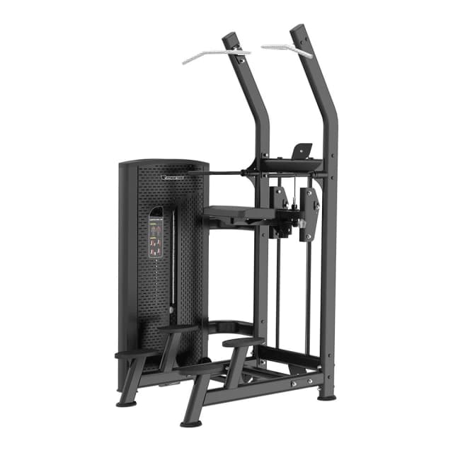 Detalle de Fitness Tech Pro Series, máquina dominadas