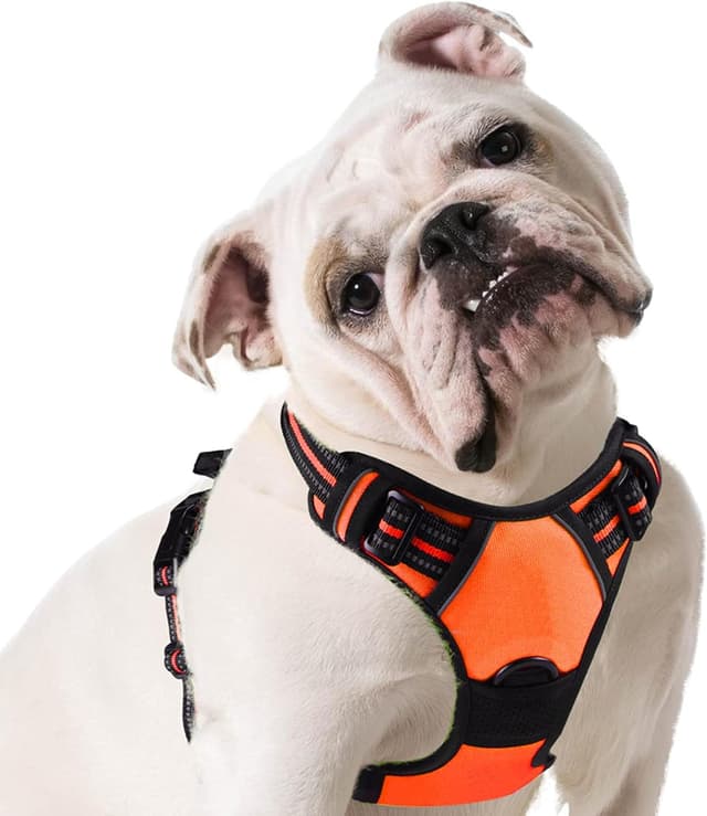 Imagen de Eagloo Harnais Chien Anti Traction M Orange en OfertitasTOP