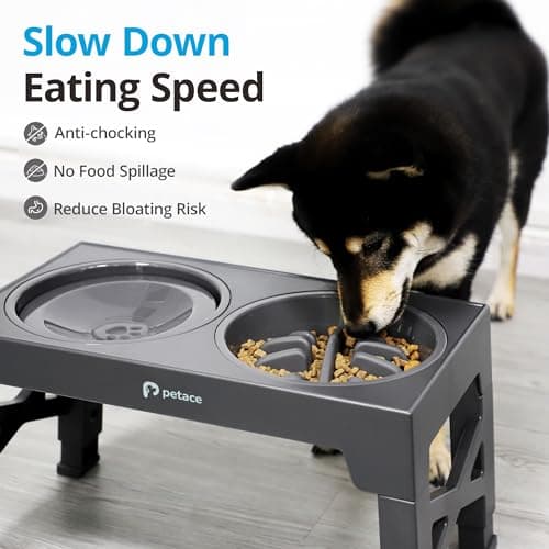 Detalle 1 de Petace Comedero Elevado de Acero Inoxidable