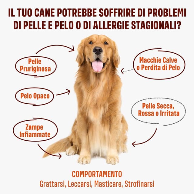 Detalle de ivvi Skin & Coat – Integratore per cani con olio di salmone, vitamine e zinco (60 chicche di salmone)