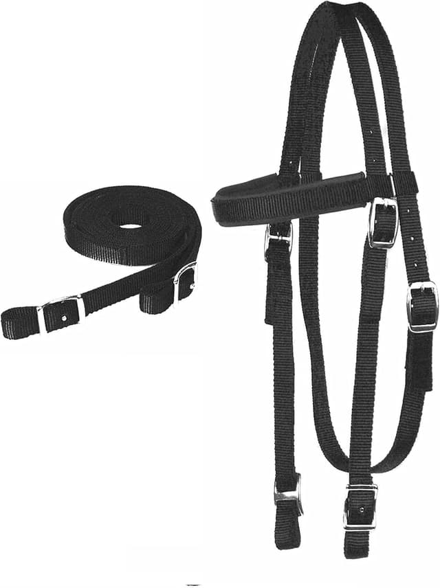 Thumbnail 6 de Majestic Ally Nylon Padded Browband Headstall Full