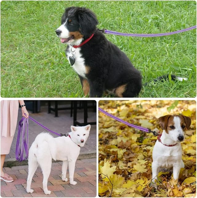 Detalle 2 de COMSLE guinzaglio lungo per addestramento (3/5/10/15/20 m) con impugnatura imbottita e gancio robusto