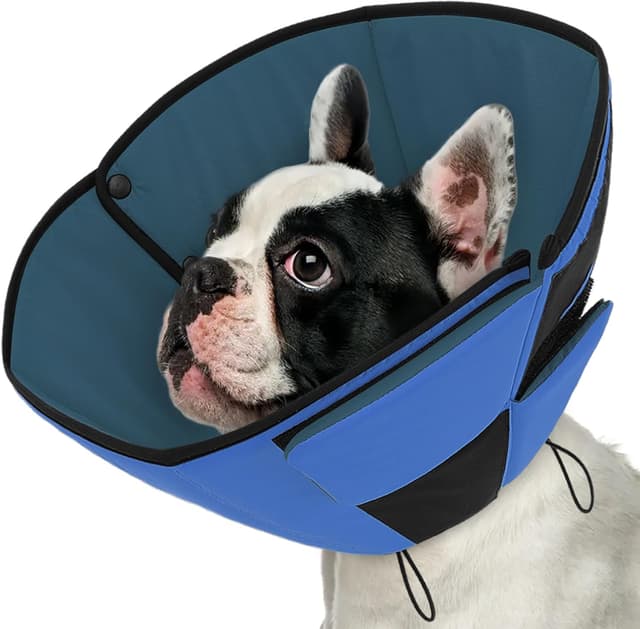 Imagen de Queenmore Recovery Collars for Medium Dogs en OfertitasTOP