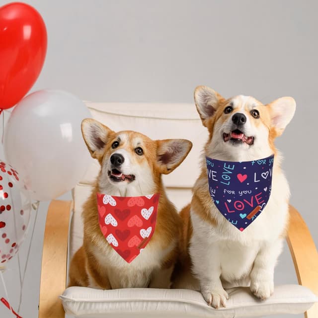 Thumbnail 2 de ADOGGYGO Valentine Dog Bandana Large ❤