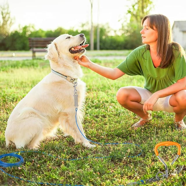 Detalle 1 de Chuiendi Dog tie out cable 3M