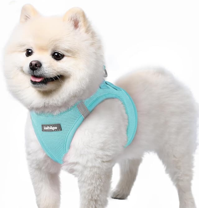 Detalle de rabbitgoo Dog Harness Small Dog Step-in Soft Mesh Puppy Harness (Mint Blue, S)