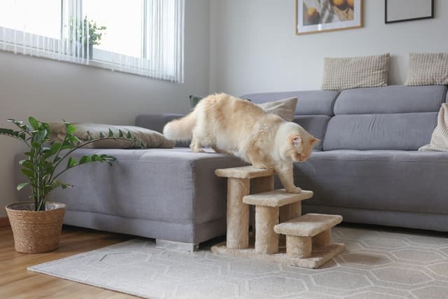 Detalle de KERBL PET Scala Easy Climb 2.0 per letto e divano, 45x35x34 cm