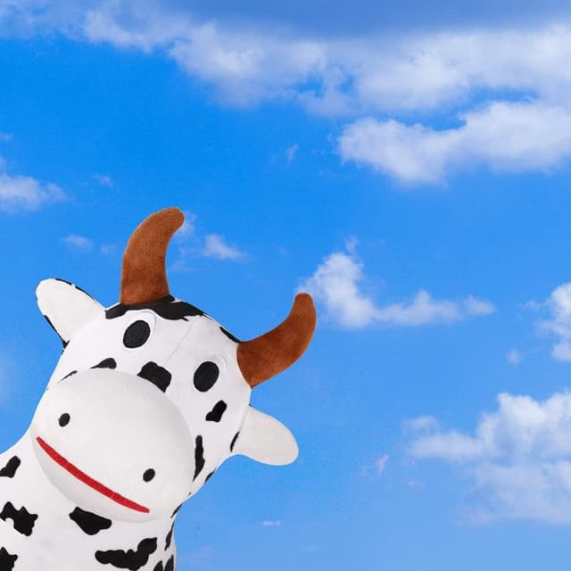 Thumbnail 6 de iPlay iLearn Bouncy Pals Cow 18M