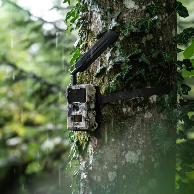 Detalle 1 de DÖRR Cloud Mini Wildkamera 12MP