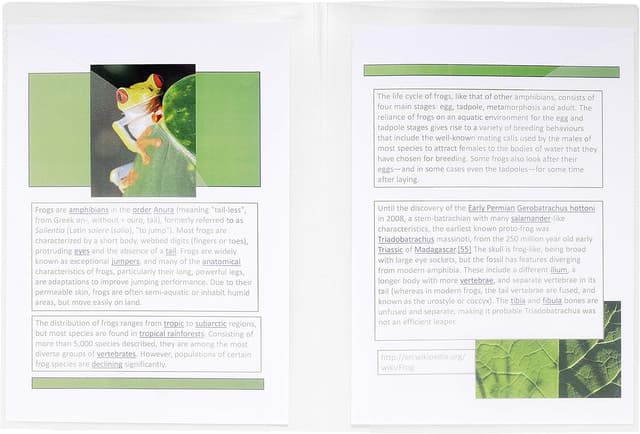 Thumbnail 2 de Exacompta 3967E Cartellina presentazioni A4 trasparente