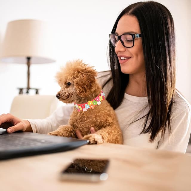 Detalle 2 de Small Dog Collar with Flower