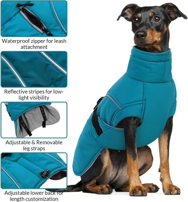Thumbnail 3 de Queenmore XL Dog Coat Waterproof puffy jacket