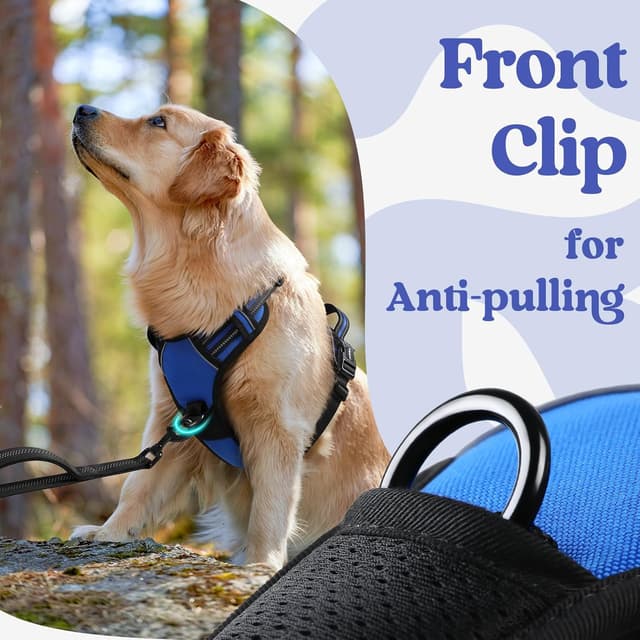 Thumbnail 6 de rabbitgoo No Pull Dog Harness L with handle