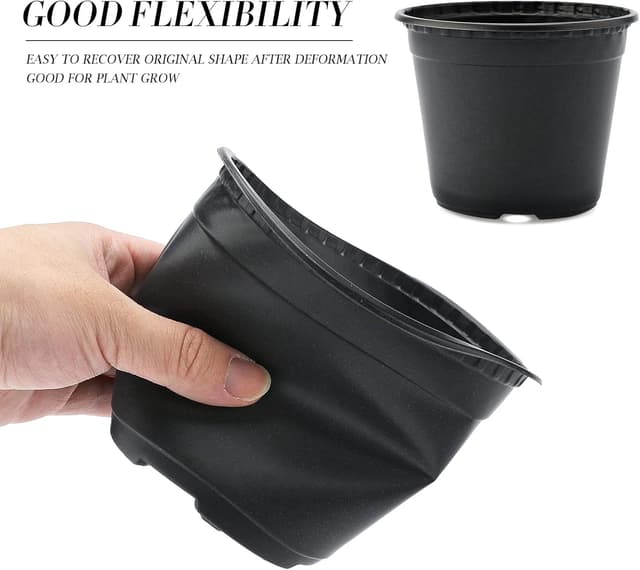 Detalle de KINGLAKE seedling pots 15 cm, 50 pack