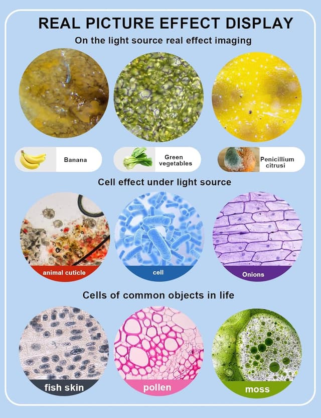 Detalle de Woehrsh WF10x & WF25x Microscope with USB Camera (40X–2000X) for Adults, Lab/School/Home Education (White)