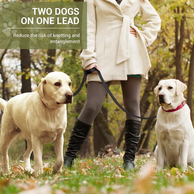 Detalle 2 de PETCOOZ Hundeleine 3 m Verstellbar 🐕