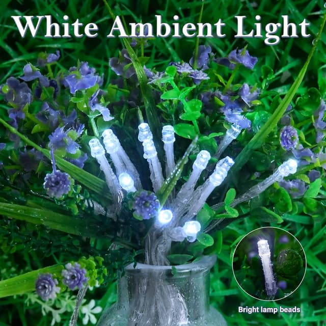 Detalle 2 de Dalugo cool white fairy lights, 30 LEDs 3m