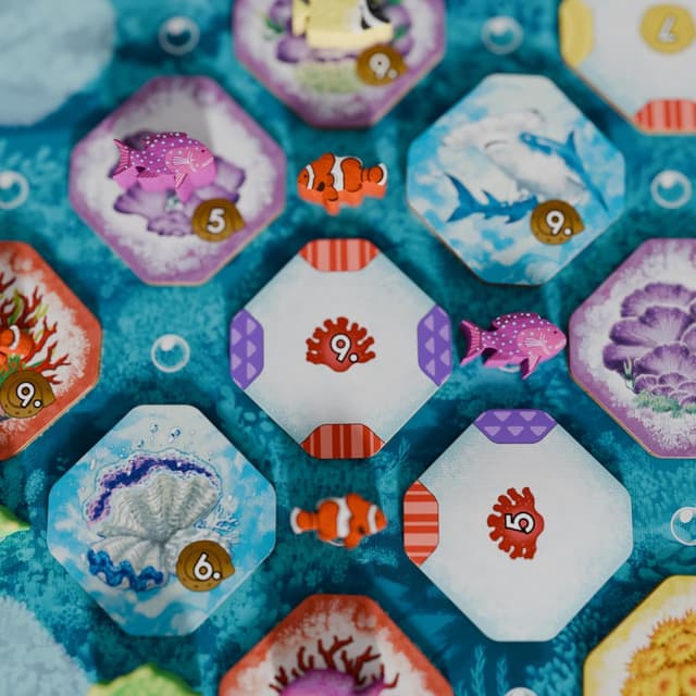 Thumbnail 6 de Shallow Sea board game: Strategy tile-placement reef ecosystem game (ages 14+, 1–4 players)