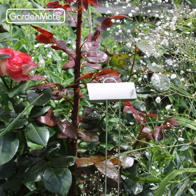 Detalle de Messaggio GardenMate 25 pezzi XL 55 cm: etichette da giardino in zinco metallico