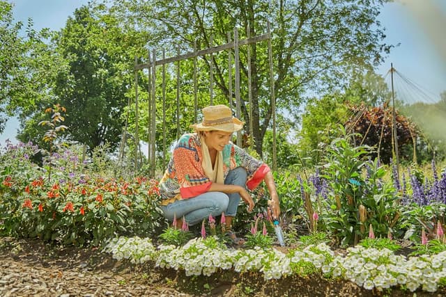 Detalle de Gardena Ecoline Unkrautstecher 17702-20 für Unkraut