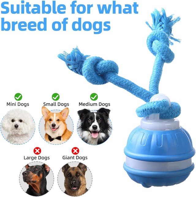 Thumbnail 4 de Dumgeo Interactive Dog Ball Blue