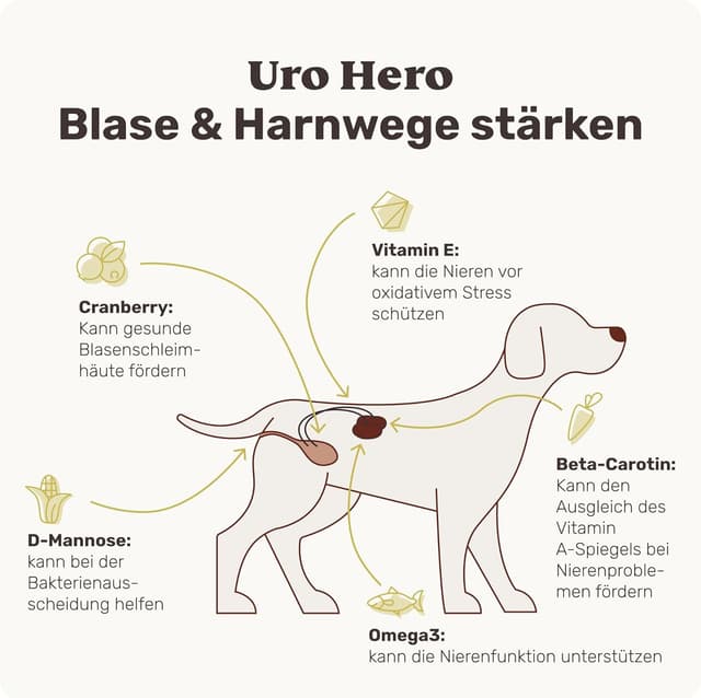 Detalle 2 de mammaly URO Hero 120 Blasenfutter 350g