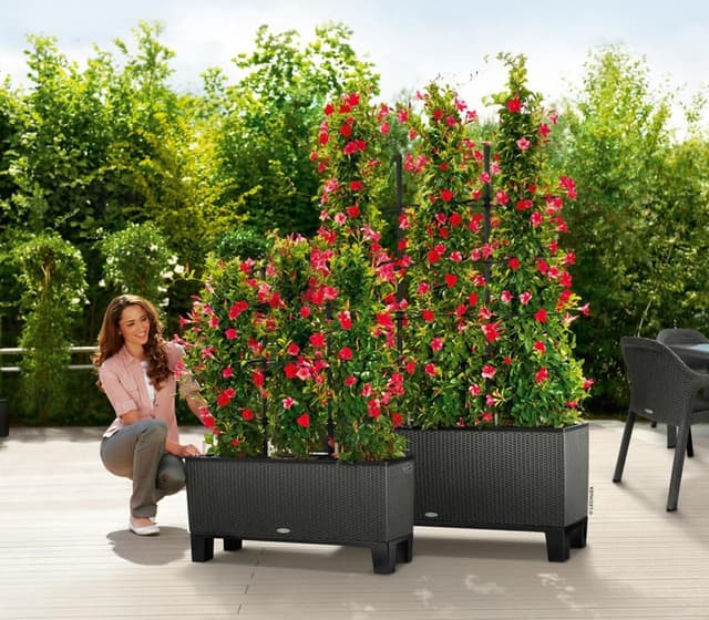 Thumbnail 2 de Lechuza Trio Cottage 40 Rankgitter