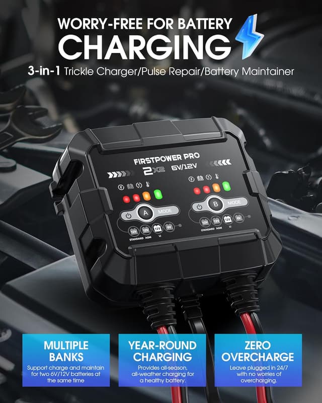 Detalle de 2-Bank 4A Trickle Charger 12V for Car Battery