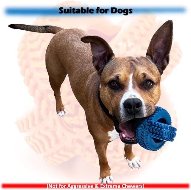 Thumbnail 4 de Petopedia Twin Tyre Rubber Dog Toy