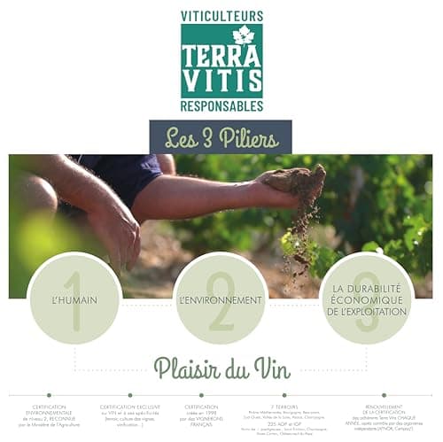 Thumbnail 3 de ROCHE MAZET Merlot - Vino Tinto IGP Pays d'Oc 🍷 - 6 botellas