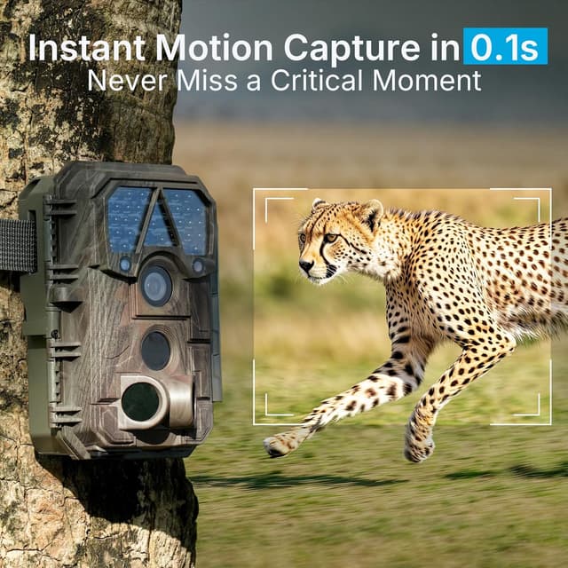 Detalle de Meidase P70 Non-Cellular, Non-WiFi Trail Camera (64MP 1296p, No-Glow 940nm)