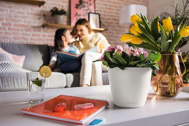 Thumbnail 6 de LECHUZA CLASSICO 18 weiß 19x19x17 cm