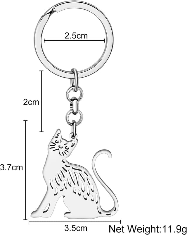 Detalle de Porte-clés chien BAMAY en acier inoxydable (breloque race, finition polie) pour clés et sacs