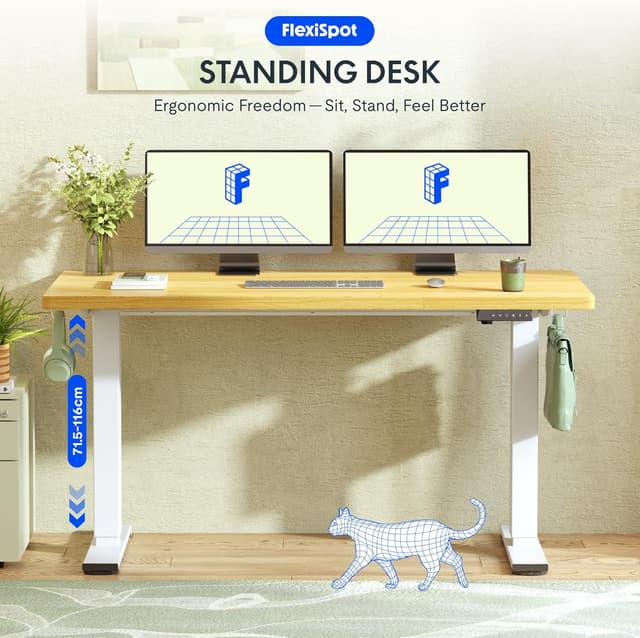 Thumbnail 2 de FLEXISPOT Höhenverstellbarer Schreibtisch 160×80