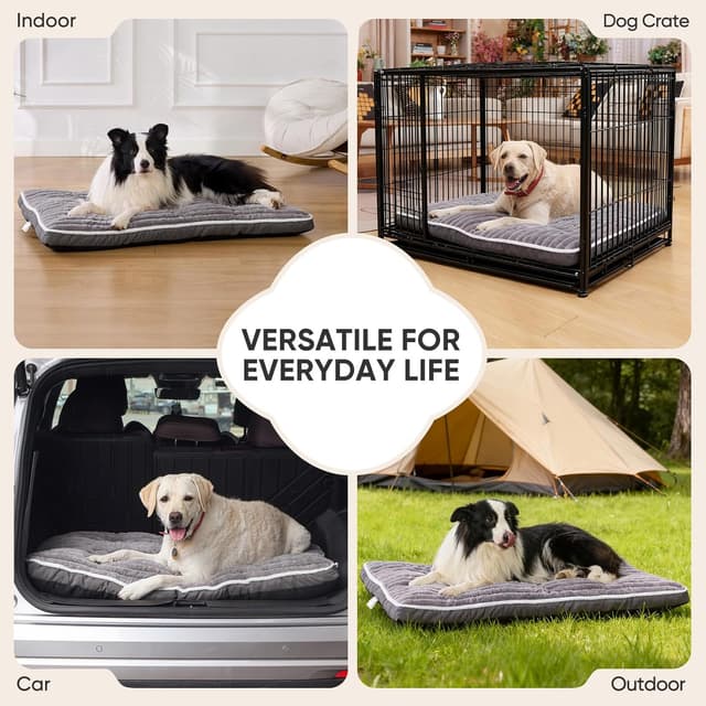 Thumbnail 6 de Tapis chien VoltaEcho 112 x 80 cm