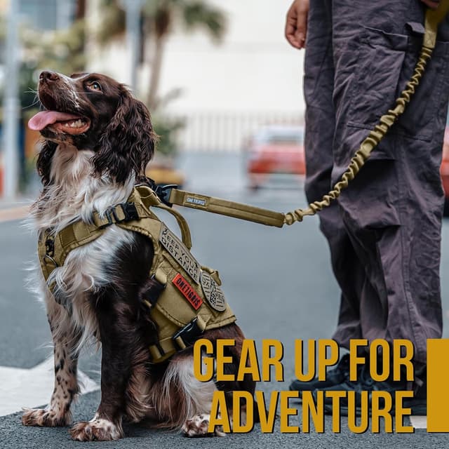 Detalle de OneTigris Tactical Dog Training Bungee Leash with 2 Control Handles (Quick Release Nylon Leads Rope)