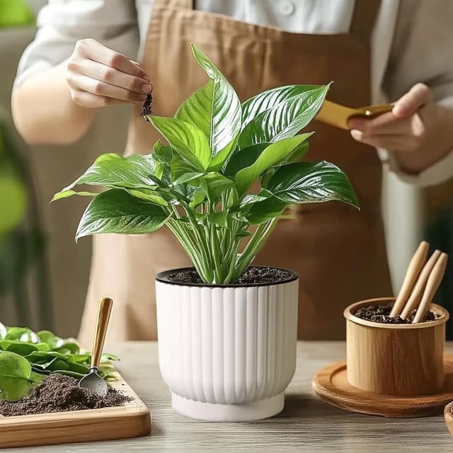 Thumbnail 6 de T4U 18cm Self Watering Plant Pots (4 Pack) – Indoor self-watering planters with cotton rope wicking