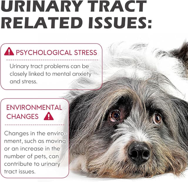 Detalle de Urinary Tract for Dogs – 2 flacons de gouttes naturelles pour soutenir les voies urinaires des chiens