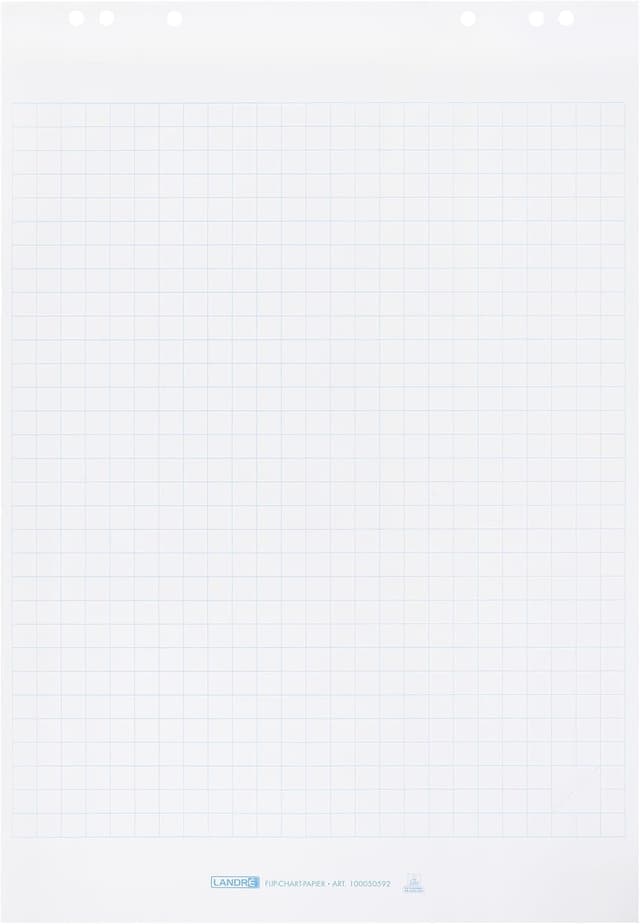 Detalle 2 de Landré Flipchartpapier 20 Blatt kariert 📋