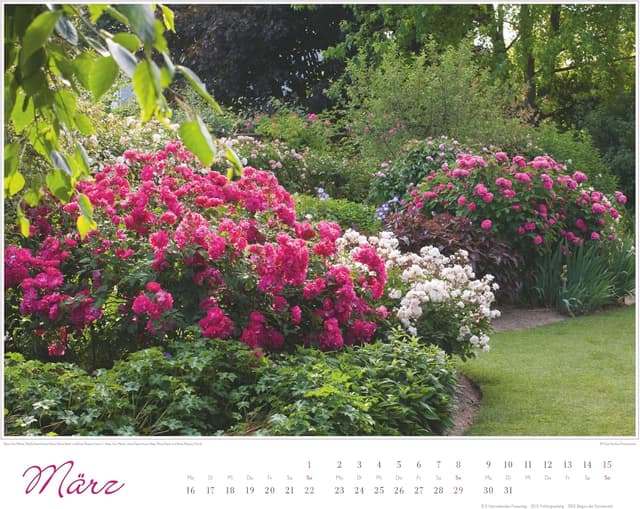 Detalle 1 de Im Rosengarten 2026 Gartenkalender 52 x 43 cm