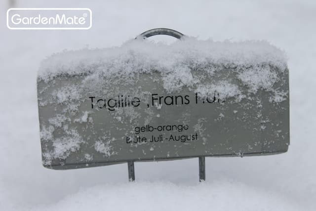 Thumbnail 6 de Gardenmate Set Di 25 Poster Etichette 30 cm