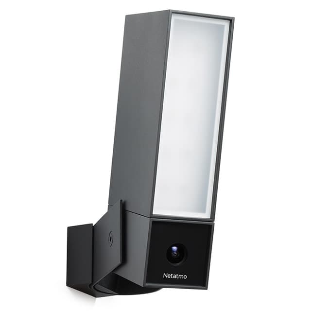 Detalle de Netatmo Presence Cámara de seguridad exterior