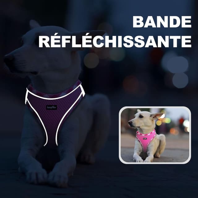 Detalle 1 de Ensemble haapaw harnais réglable et laisse pour chien — respirant, réfléchissant et rembourré