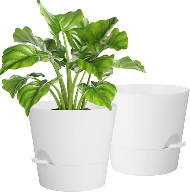 Imagen de Idealife 10 Inch Maceta 1700 ml en OfertitasTOP