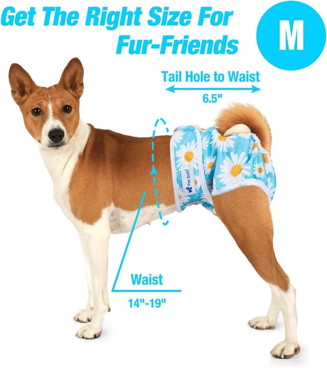 Detalle de Pet Soft Washable Dog Nappies for Female Dogs (3 Pack) – Reusable Period Pants with Absorbent Pads