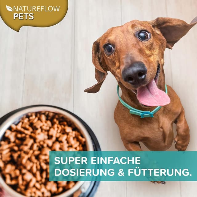 Thumbnail 5 de Natureflow Grünlippmuschel Hund 250 g Pulver