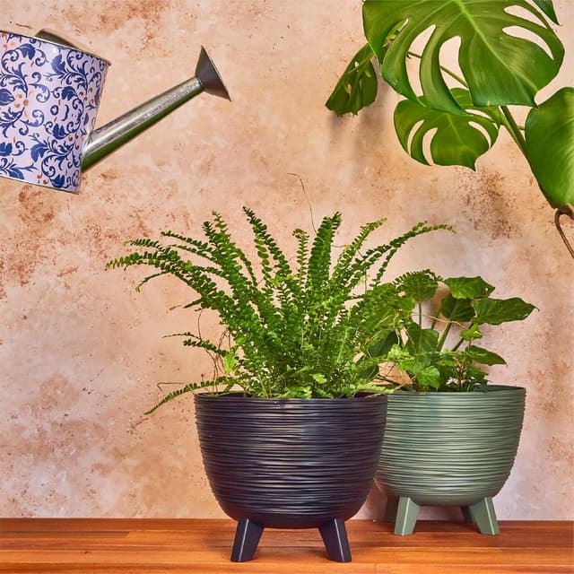 Detalle de Planters Pride Futura Ribbed Plant Pots 5L