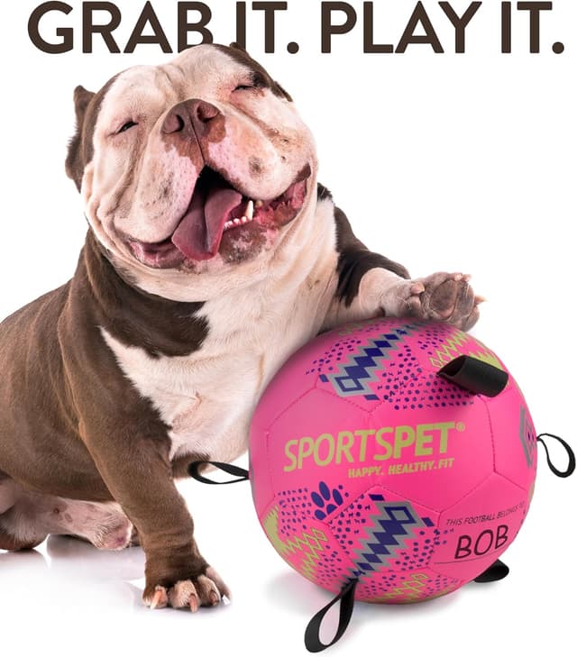 Detalle de SPORTSPET Dog Football with Grab Tabs (Pink, Medium) – Durable interactive floating dog volleyball-style toy