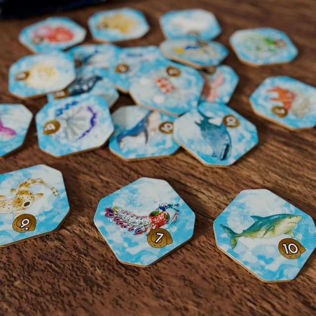 Detalle de Shallow Sea board game: Strategy tile-placement reef ecosystem game (ages 14+, 1–4 players)