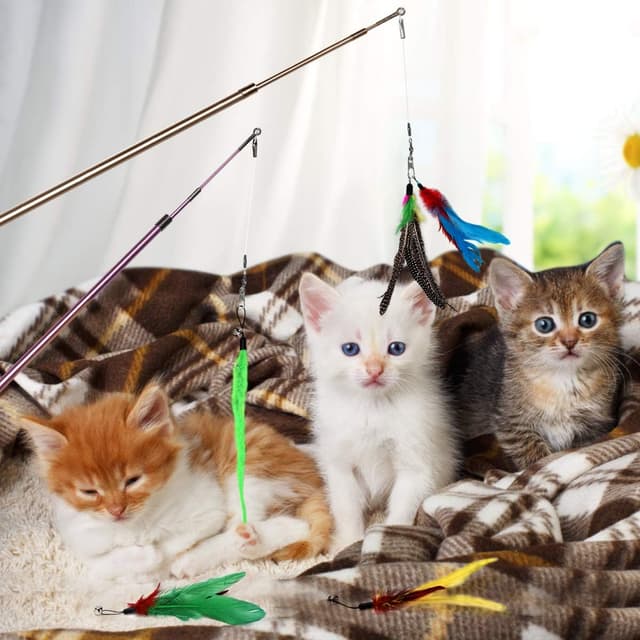 Thumbnail 5 de Bojafa 15pcs Cat Toys interactive feather wand set 🐱
